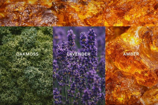 Oak Moss & Amber